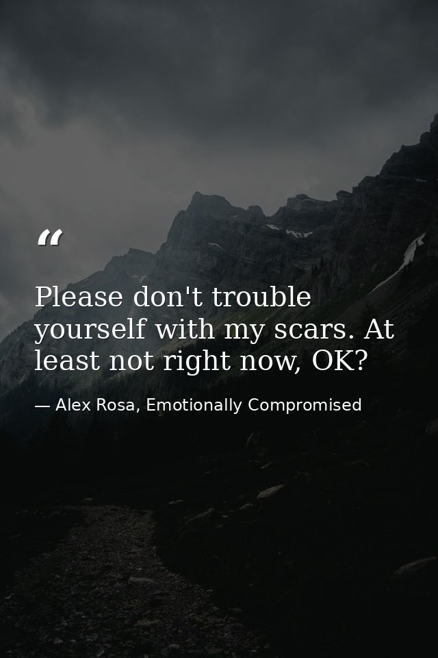 Please don't trouble yourself with my scars. At least not right now, OK? — Alex Rosa, Emotionally Compromised