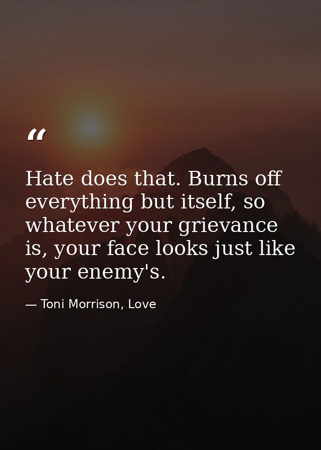 Hate does that. Burns off everything but itself, so whatever your grievance is, your face looks just like your enemy's. — Toni Morrison, Love