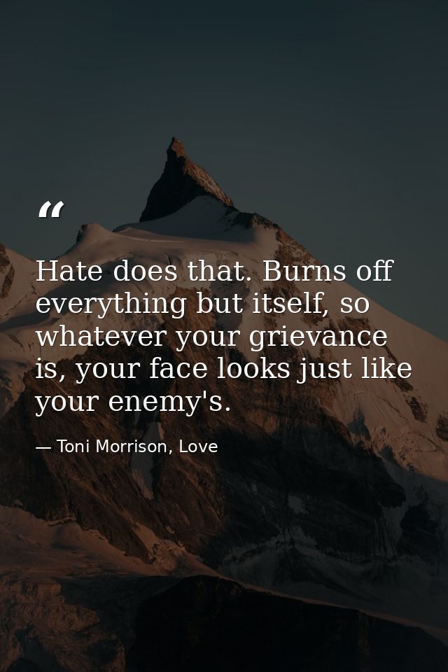 Hate does that. Burns off everything but itself, so whatever your grievance is, your face looks just like your enemy's. — Toni Morrison, Love