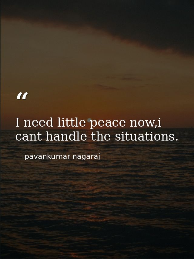 I need little peace now,i cant handle the situations. — pavankumar nagaraj