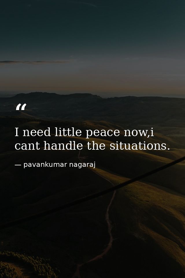 I need little peace now,i cant handle the situations. — pavankumar nagaraj