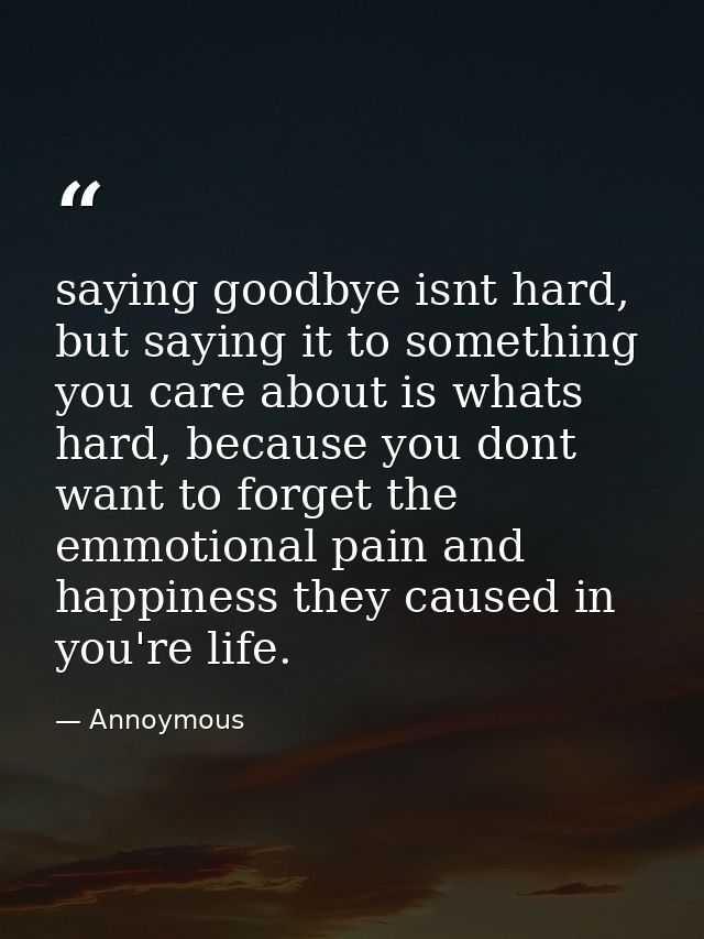 saying goodbye isnt hard, but saying it to something you care about is whats hard, because you dont want to forget the e — Annoymous