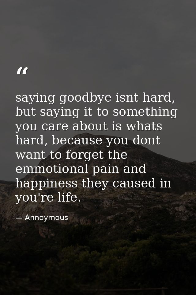 saying goodbye isnt hard, but saying it to something you care about is whats hard, because you dont want to forget the e — Annoymous
