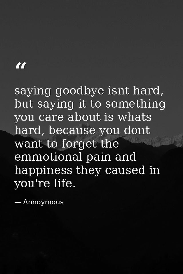 saying goodbye isnt hard, but saying it to something you care about is whats hard, because you dont want to forget the e — Annoymous