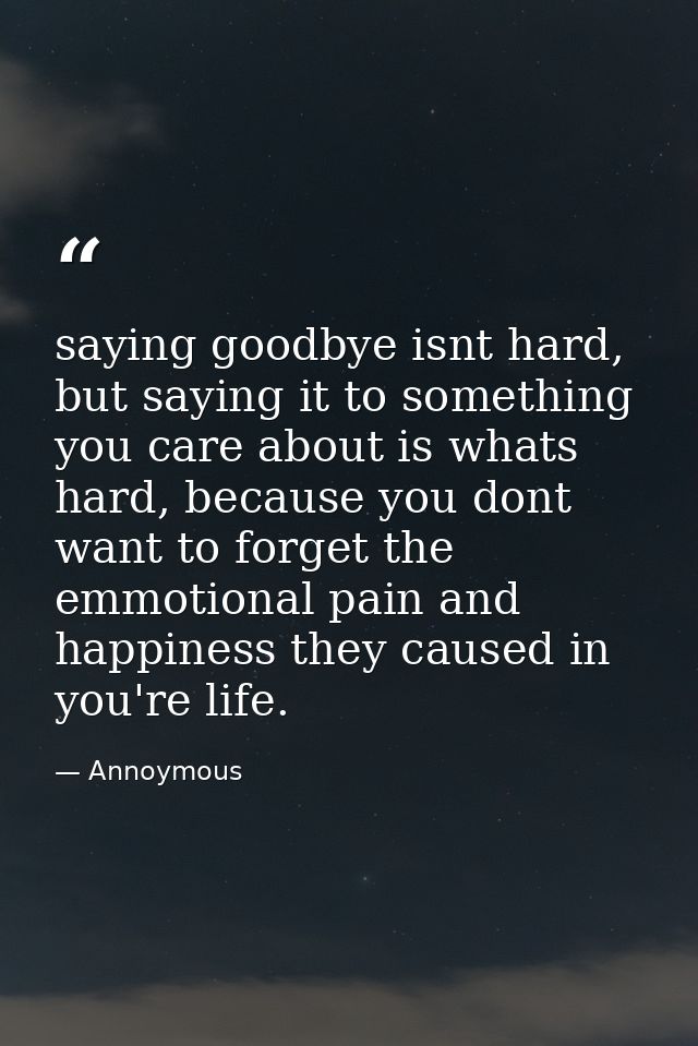 saying goodbye isnt hard, but saying it to something you care about is whats hard, because you dont want to forget the e — Annoymous
