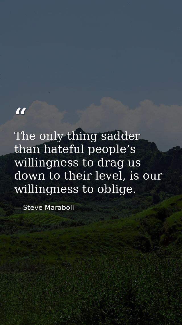 The only thing sadder than hateful people’s willingness to drag us down to their level, is our willingness to oblige. — Steve Maraboli