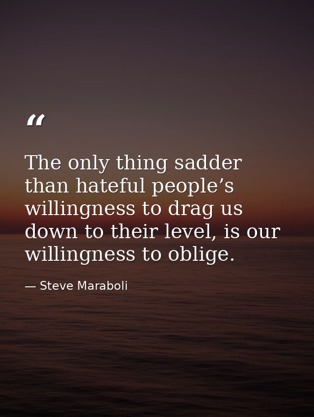 The only thing sadder than hateful people’s willingness to drag us down to their level, is our willingness to oblige. — Steve Maraboli