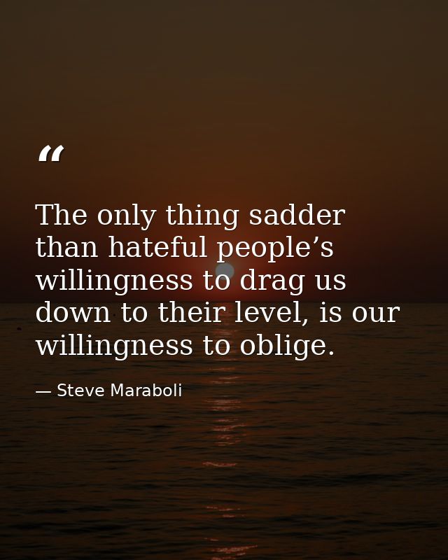 The only thing sadder than hateful people’s willingness to drag us down to their level, is our willingness to oblige. — Steve Maraboli