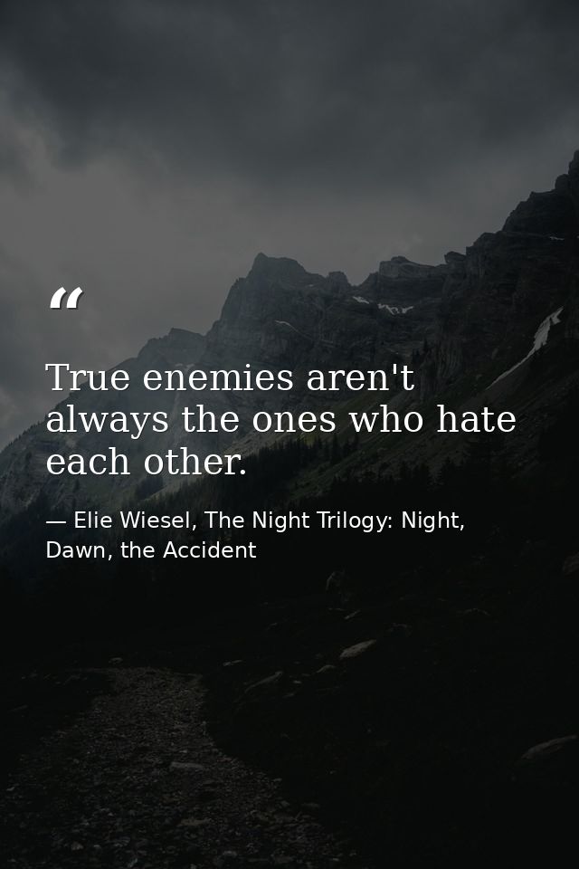 True enemies aren't always the ones who hate each other. — Elie Wiesel, The Night Trilogy: Night, Dawn, the Accident