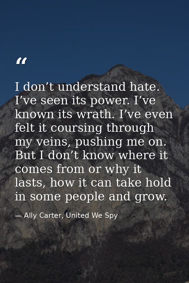 I don’t understand hate. I’ve seen its power. I’ve known its wrath. I’ve even felt it coursing through my veins, pushing — Ally Carter, United We Spy