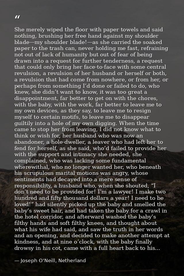 She merely wiped the floor with paper towels and said nothing, brushing her free hand against my shoulder blade—my shoul — Joseph O'Neill, Netherland