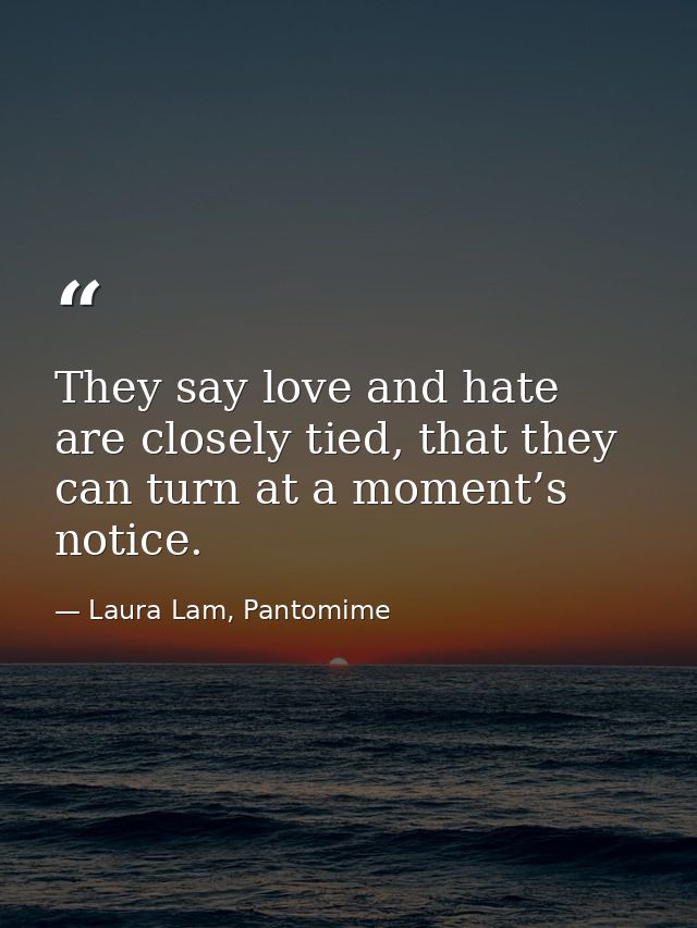 They say love and hate are closely tied, that they can turn at a moment’s notice. — Laura Lam, Pantomime