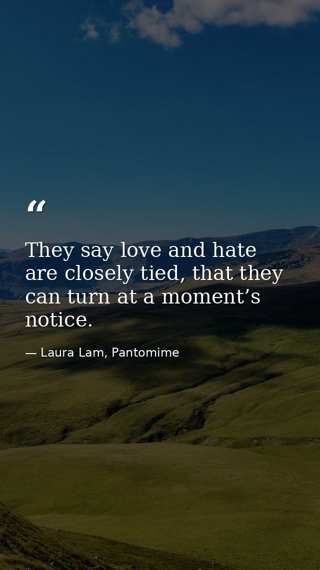 They say love and hate are closely tied, that they can turn at a moment’s notice. — Laura Lam, Pantomime