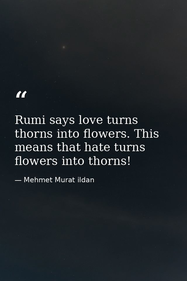 Rumi says love turns thorns into flowers. This means that hate turns flowers into thorns! — Mehmet Murat ildan