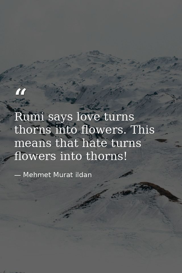Rumi says love turns thorns into flowers. This means that hate turns flowers into thorns! — Mehmet Murat ildan