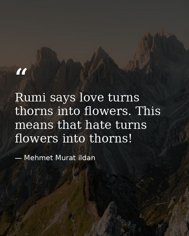 Rumi says love turns thorns into flowers. This means that hate turns flowers into thorns! — Mehmet Murat ildan