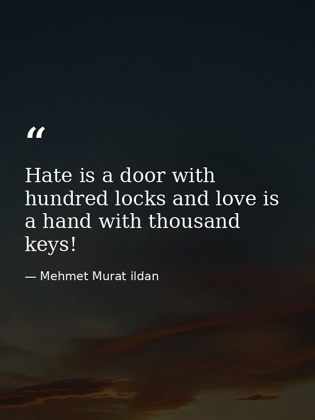 Hate is a door with hundred locks and love is a hand with thousand keys! — Mehmet Murat ildan