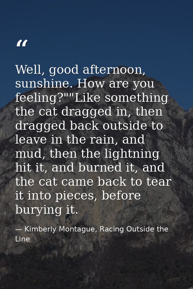 Well, good afternoon, sunshine. How are you feeling?""Like something the cat dragged in, then dragged back outside to le — Kimberly Montague, Racing Outside the Line