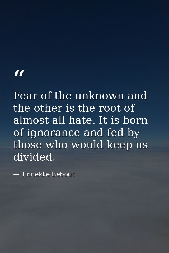 Fear of the unknown and the other is the root of almost all hate. It is born of ignorance and fed by those who would kee — Tinnekke Bebout