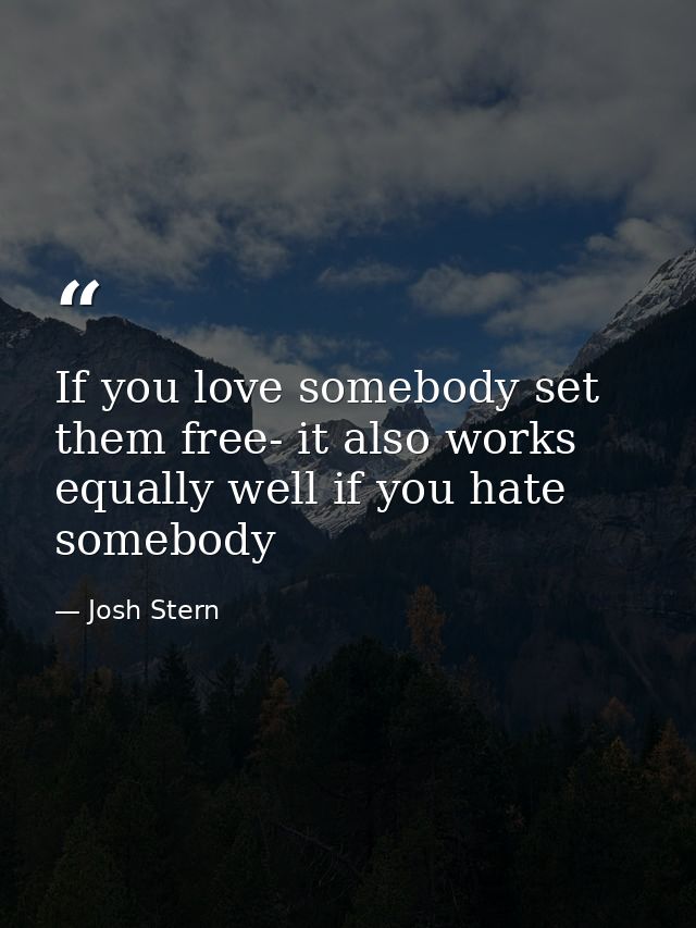 If you love somebody set them free- it also works equally well if you hate somebody — Josh Stern