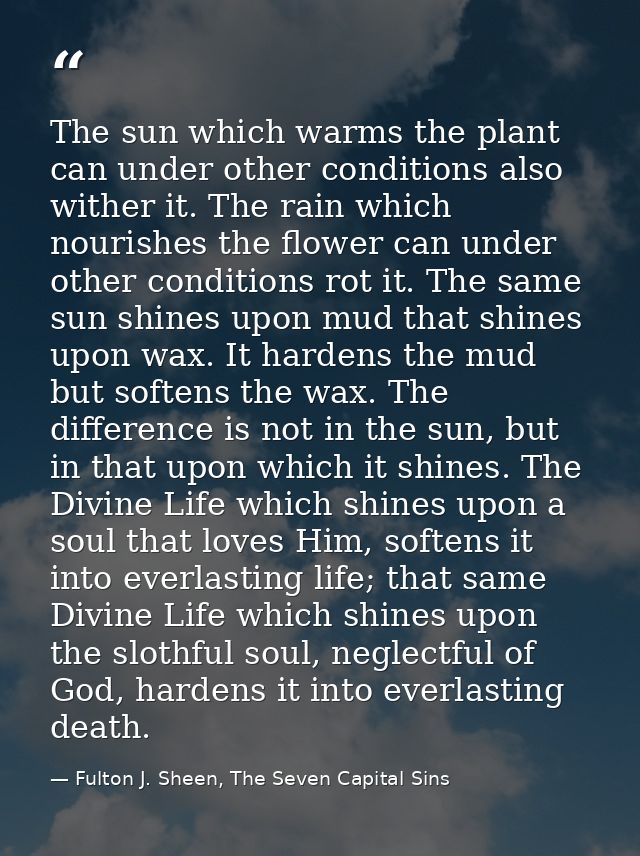 The sun which warms the plant can under other conditions also wither it. The rain which nourishes the flower can under o — Fulton J. Sheen, The Seven Capital Sins