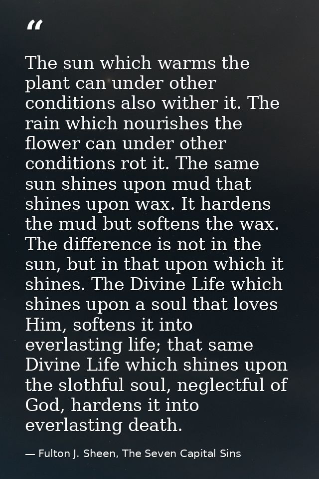 The sun which warms the plant can under other conditions also wither it. The rain which nourishes the flower can under o — Fulton J. Sheen, The Seven Capital Sins
