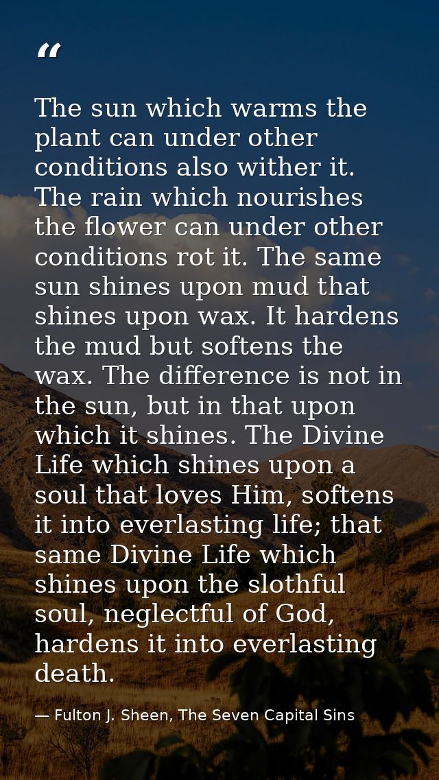 The sun which warms the plant can under other conditions also wither it. The rain which nourishes the flower can under o — Fulton J. Sheen, The Seven Capital Sins