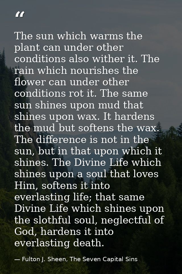 The sun which warms the plant can under other conditions also wither it. The rain which nourishes the flower can under o — Fulton J. Sheen, The Seven Capital Sins
