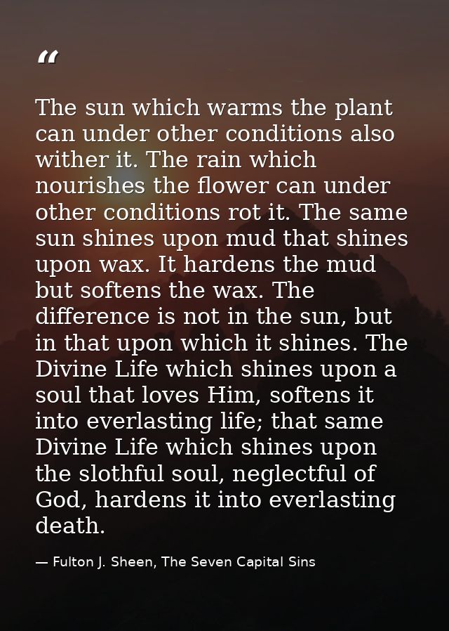 The sun which warms the plant can under other conditions also wither it. The rain which nourishes the flower can under o — Fulton J. Sheen, The Seven Capital Sins