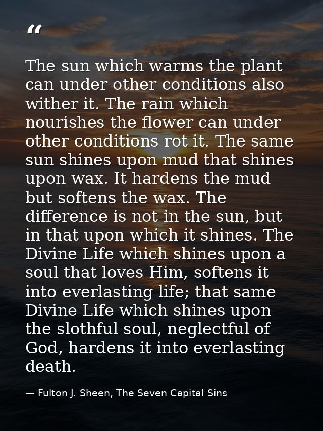 The sun which warms the plant can under other conditions also wither it. The rain which nourishes the flower can under o — Fulton J. Sheen, The Seven Capital Sins