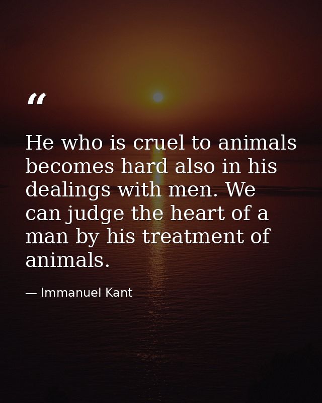 He who is cruel to animals becomes hard also in his dealings with men. We can judge the heart of a man by his treatment  — Immanuel Kant