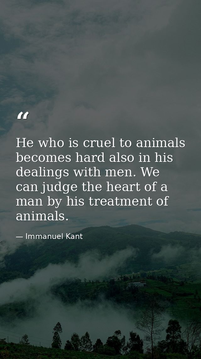 He who is cruel to animals becomes hard also in his dealings with men. We can judge the heart of a man by his treatment  — Immanuel Kant