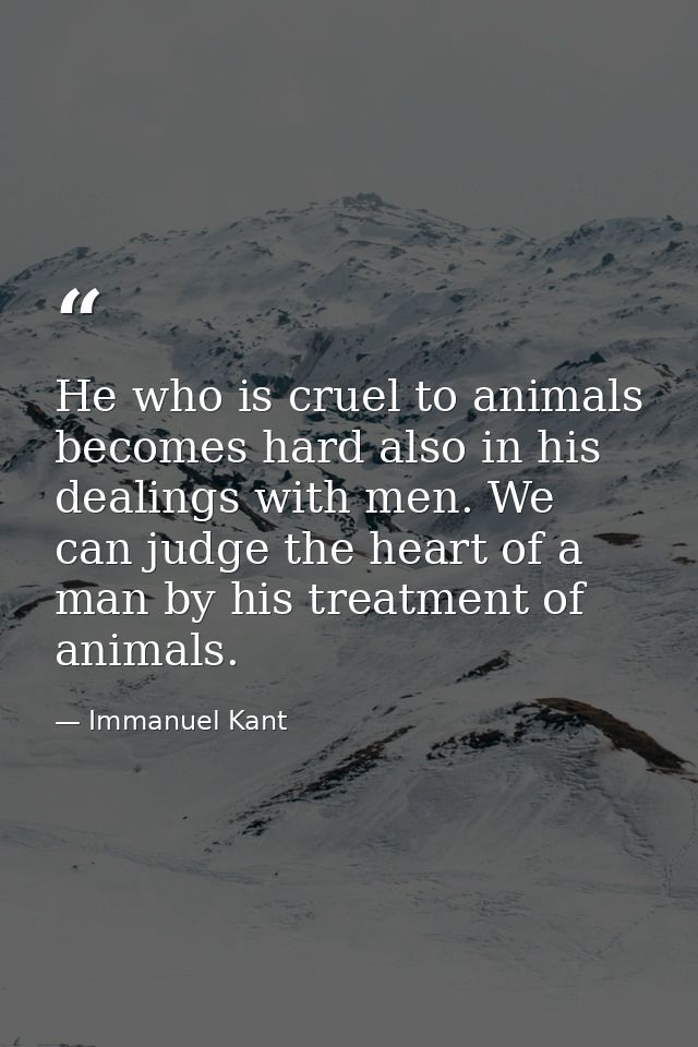 He who is cruel to animals becomes hard also in his dealings with men. We can judge the heart of a man by his treatment  — Immanuel Kant