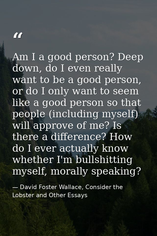 Am I a good person? Deep down, do I even really want to be a good person, or do I only want to seem like a good person s — David Foster Wallace, Consider the Lobster and Other Essays