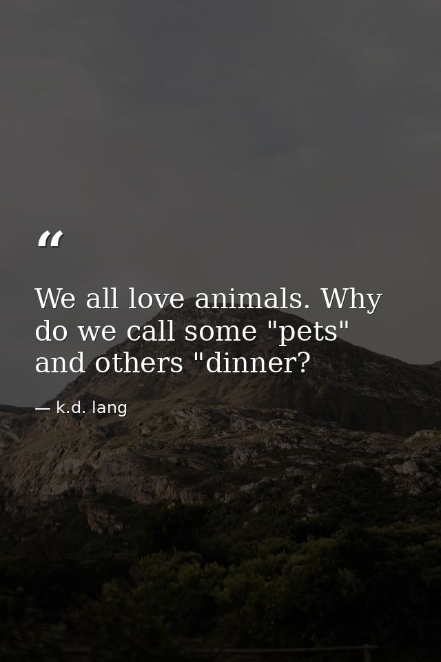 We all love animals. Why do we call some "pets" and others "dinner? — k.d. lang