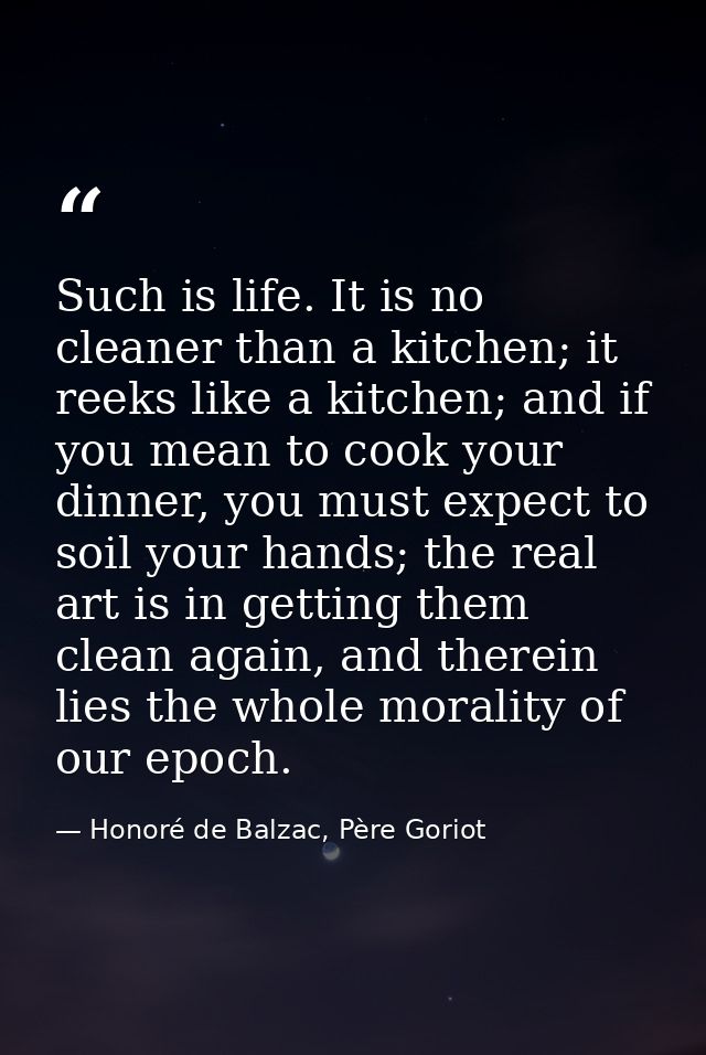 Such is life. It is no cleaner than a kitchen; it reeks like a kitchen; and if you mean to cook your dinner, you must ex — Honoré de Balzac, Père Goriot
