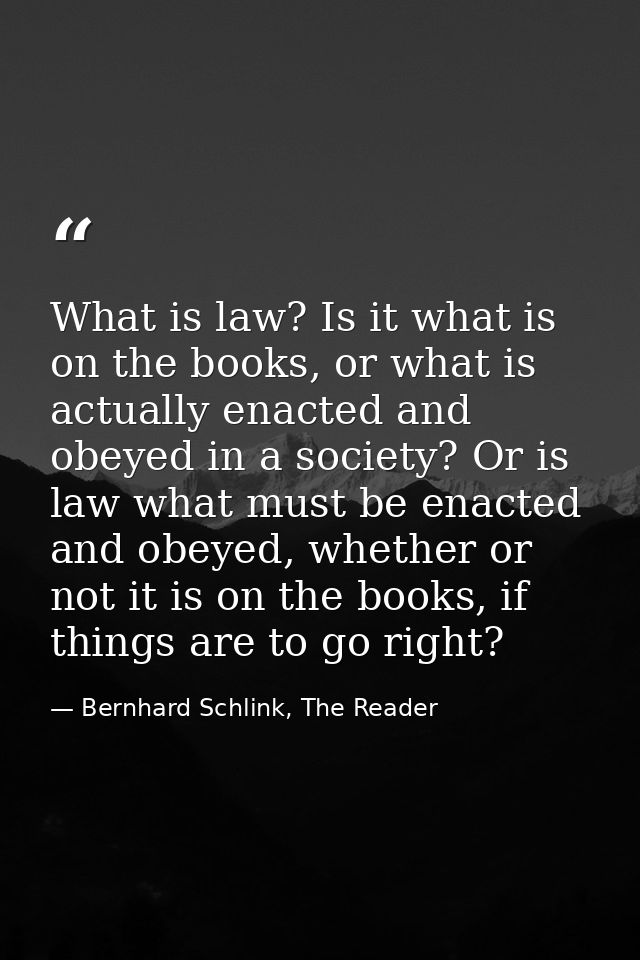 What is law? Is it what is on the books, or what is actually enacted and obeyed in a society? Or is law what must be ena — Bernhard Schlink, The Reader