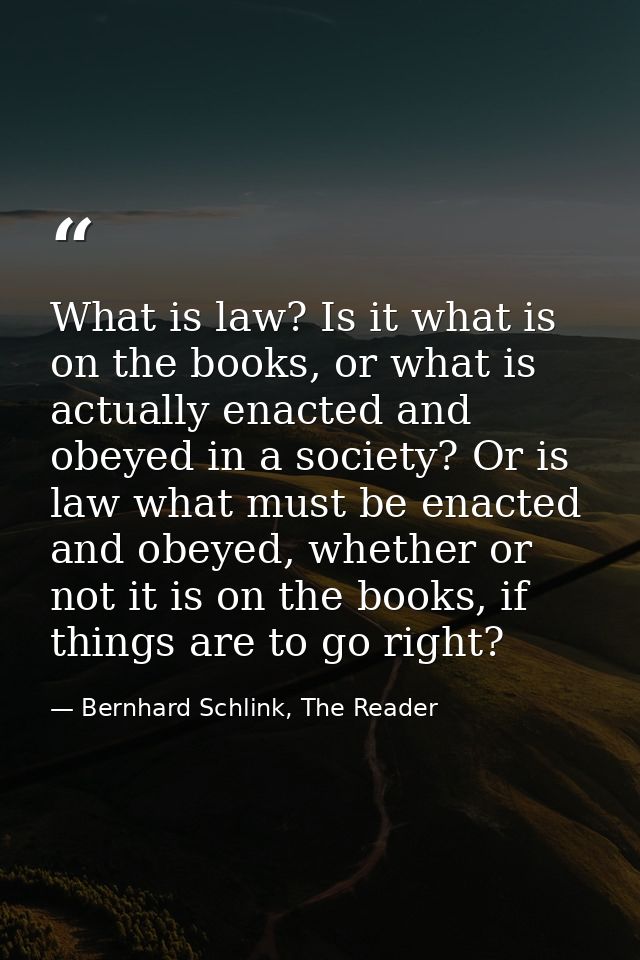 What is law? Is it what is on the books, or what is actually enacted and obeyed in a society? Or is law what must be ena — Bernhard Schlink, The Reader