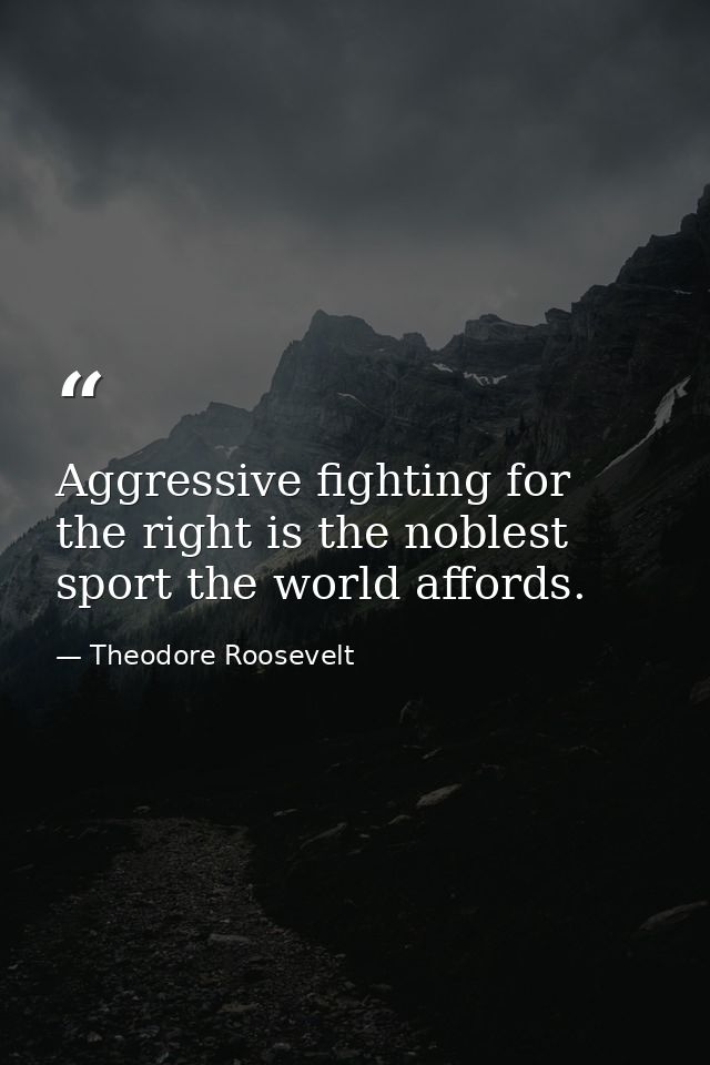 Aggressive fighting for the right is the noblest sport the world affords. — Theodore Roosevelt