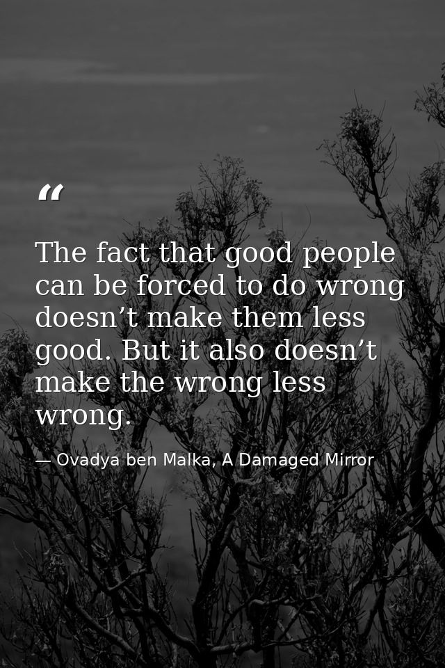 The fact that good people can be forced to do wrong doesn’t make them less good. But it also doesn’t make the wrong less — Ovadya ben Malka, A Damaged Mirror