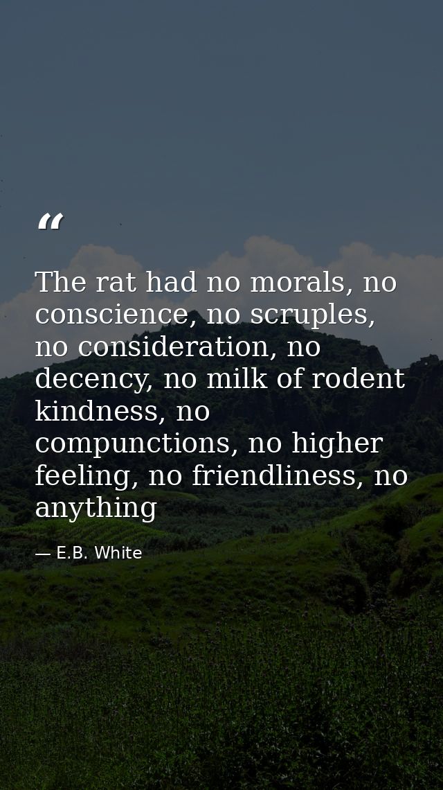 The rat had no morals, no conscience, no scruples, no consideration, no decency, no milk of rodent kindness, no compunct — E.B. White