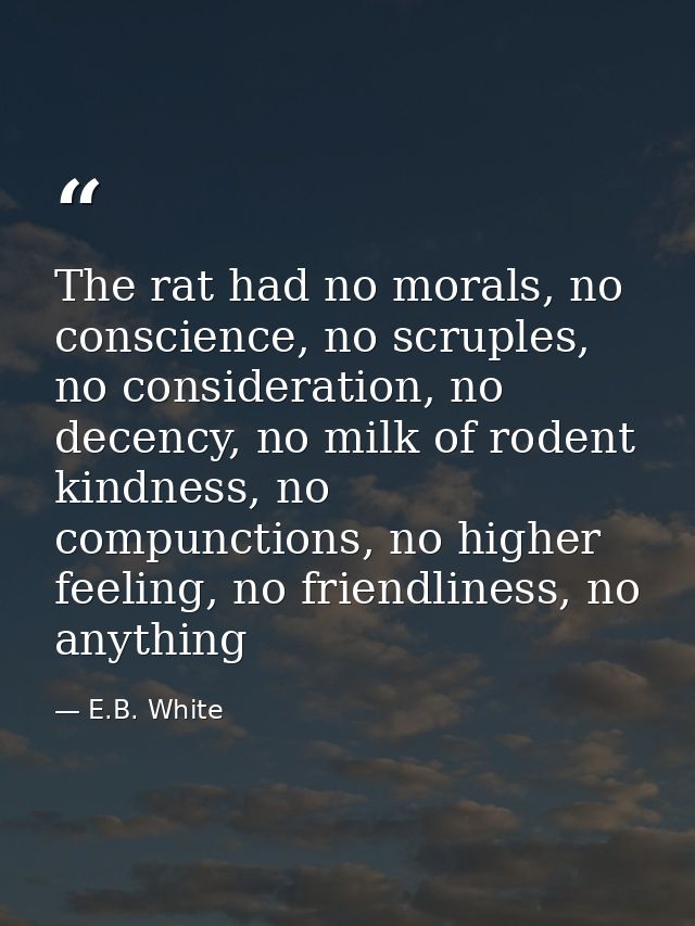 The rat had no morals, no conscience, no scruples, no consideration, no decency, no milk of rodent kindness, no compunct — E.B. White