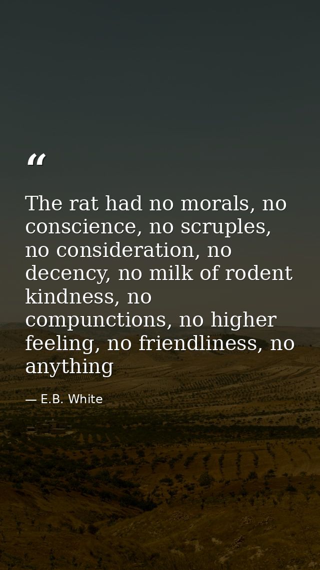 The rat had no morals, no conscience, no scruples, no consideration, no decency, no milk of rodent kindness, no compunct — E.B. White