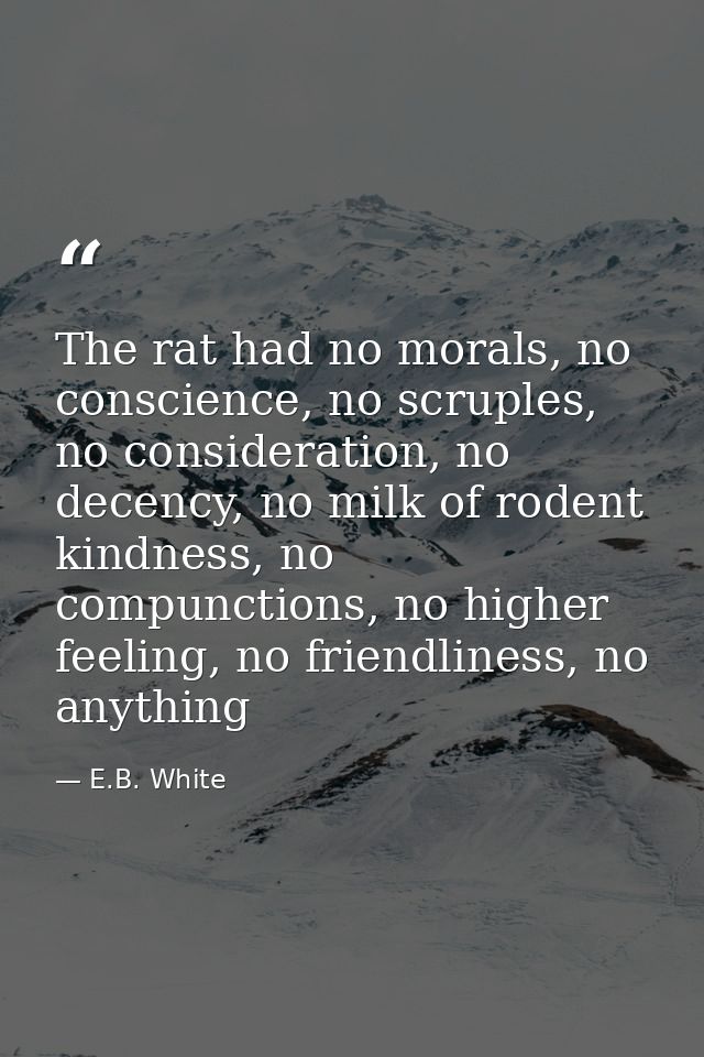 The rat had no morals, no conscience, no scruples, no consideration, no decency, no milk of rodent kindness, no compunct — E.B. White