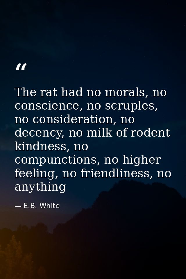 The rat had no morals, no conscience, no scruples, no consideration, no decency, no milk of rodent kindness, no compunct — E.B. White