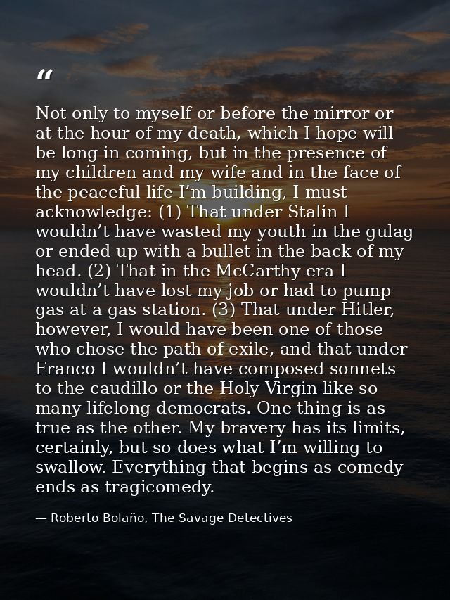 Not only to myself or before the mirror or at the hour of my death, which I hope will be long in coming, but in the pres — Roberto Bolaño, The Savage Detectives
