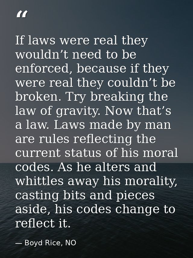 If laws were real they wouldn’t need to be enforced, because if they were real they couldn’t be broken. Try breaking the — Boyd Rice, NO