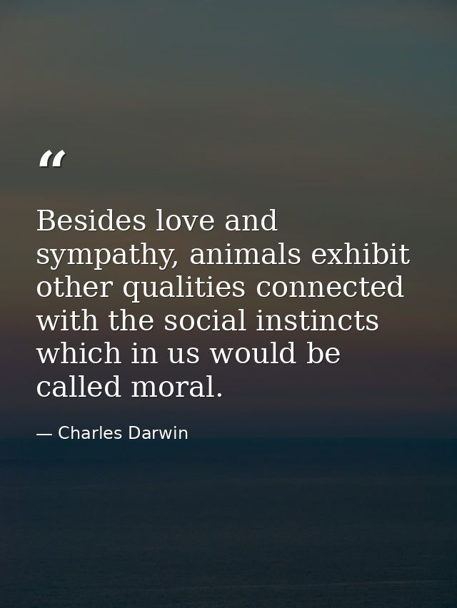 Besides love and sympathy, animals exhibit other qualities connected with the social instincts which in us would be call — Charles Darwin