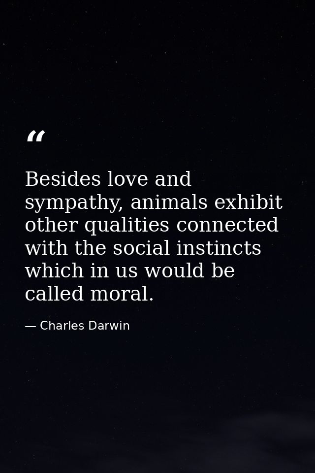 Besides love and sympathy, animals exhibit other qualities connected with the social instincts which in us would be call — Charles Darwin
