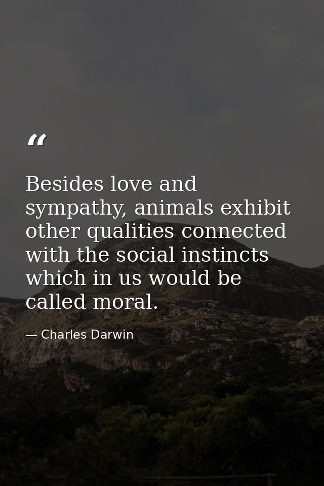 Besides love and sympathy, animals exhibit other qualities connected with the social instincts which in us would be call — Charles Darwin